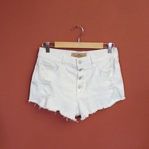 Hollister Shorts